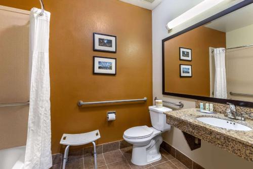 Quality Suites Addison-Dallas - image 10