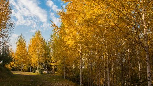 Alpen Ville - Hotel - Almaty