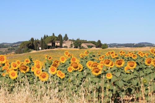 Il Poggio B&B - Accommodation - Ginestra