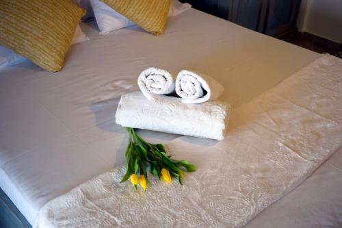 DREAM VIEW LIVARI beachfront DREAM VIEW LIVARI beachfront