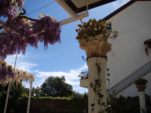 Casa Vacanze Villa Angelina 5