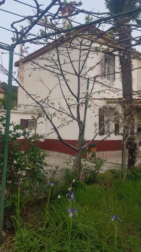  House Milevoj in Koromačno