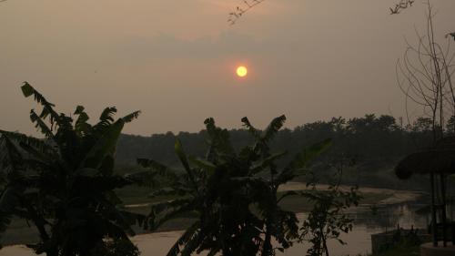Hotel Hermitage, Sauraha (foto 6)