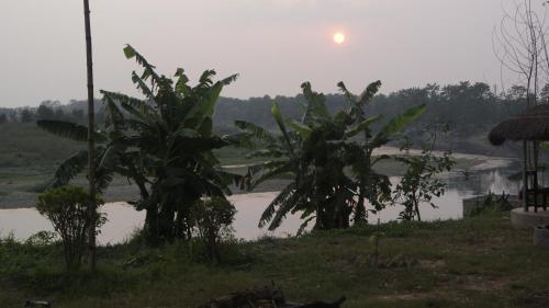 Hotel Hermitage, Sauraha (foto 5)