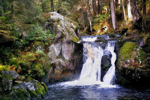 C2 Albmatte-FEWO , Hallenbad Außenbecken Massagen nebenan