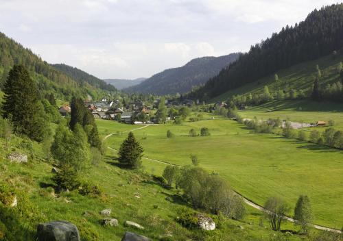 C2 Albmatte-FEWO , Hallenbad Außenbecken Massagen nebenan