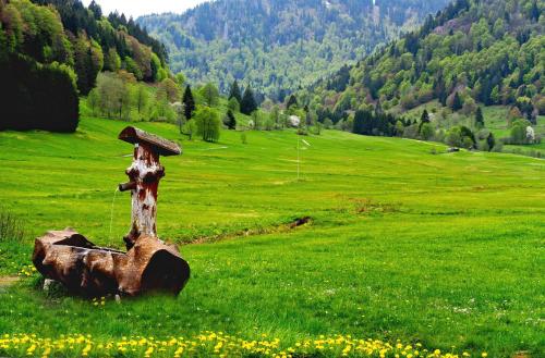 C2 Albmatte-FEWO , Hallenbad Außenbecken Massagen nebenan