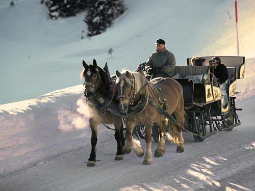 Pension Grissemann - image 13