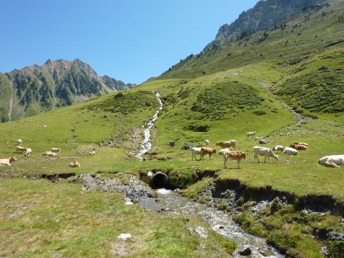 Résidence Mer & Golf Tourmalet - image 7