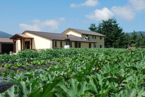 Agriturismo Fiorella 2