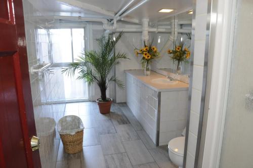 Budget Room with Two Double Beds and Shared Bathroom image 3