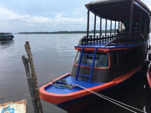 Orangutan Houseboat Park Tanjung Puting