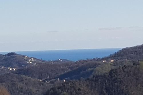  Il Villino in San Colombano Certenoli