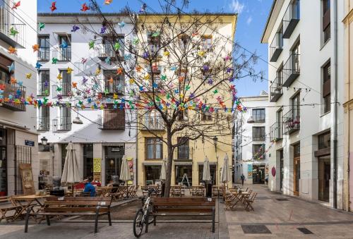 Mon Suites Catedral - image 10
