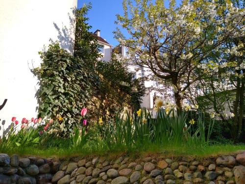 Alster City Garden Villa, Hamburgo (foto 6)