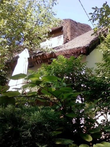  Tihany-Sajkod önálló apartman, Unterkunft in Tihany