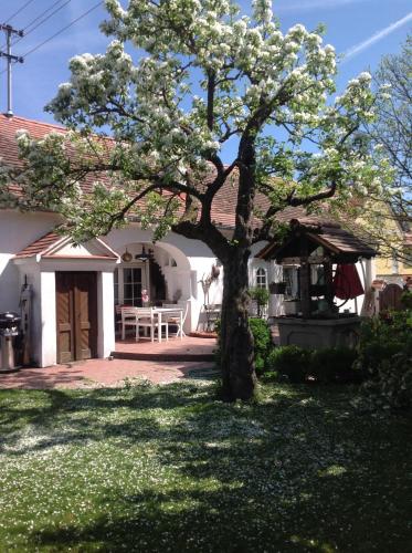 Bed & Breakfast Chez Lips in Oberbildein, Österreich