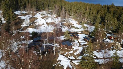 Les Chalets Du Goulet - image 11