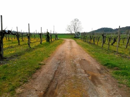 Agriturismo il Rovere