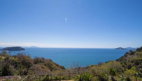 Mini Hotel - image 11