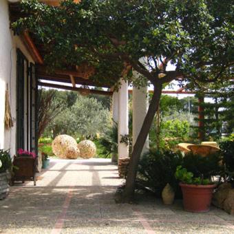 Dai Siciliani Paolo e Paola – Marsala, CA