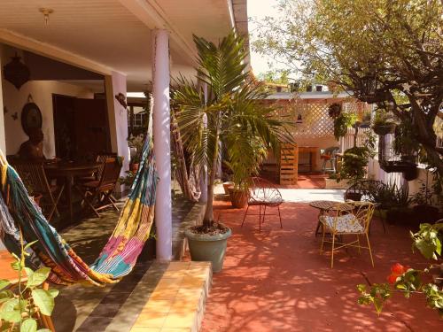 Palvelut, Magical Garden in Santa Cruz