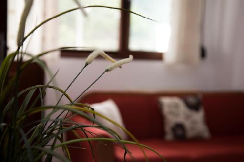 Holiday Zigos, Igumenica (fotografie 8)