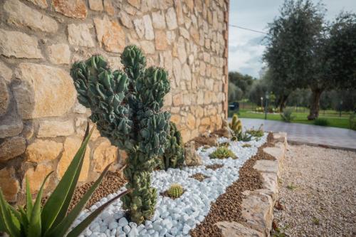 Agriturismo Country Casale Rufo