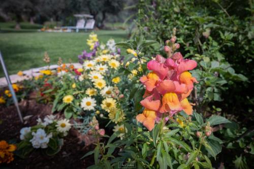 Agriturismo Country Casale Rufo