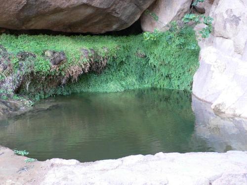 Sheikh Mousa Bedouin Camp