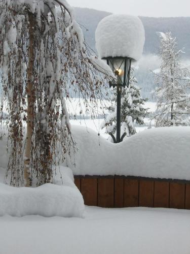 Hotel Häuserl im Wald - image 8
