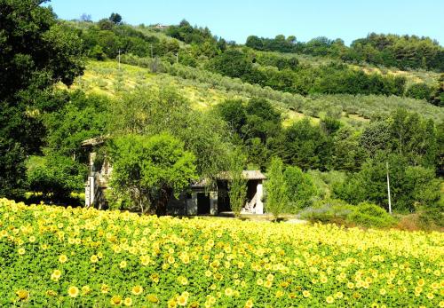 Appartamenti Verde Collina Umbra