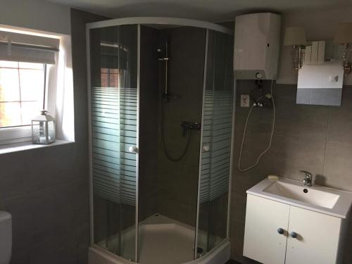 BIG CALM APART HOTEL 15min WARSAW 6pers WiFi Fireplace Garden Grill, Warsaw (photo 4)