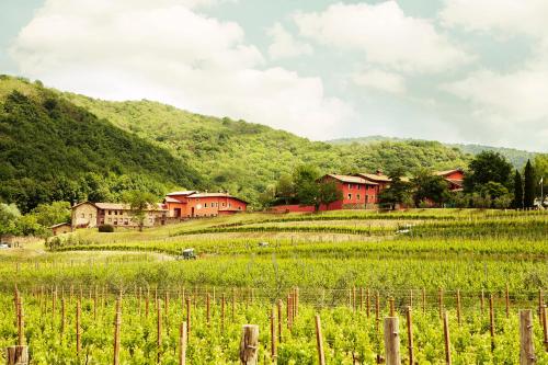  Agriturismo l'Uva e le Stelle, Faedis bei Grions del Torre