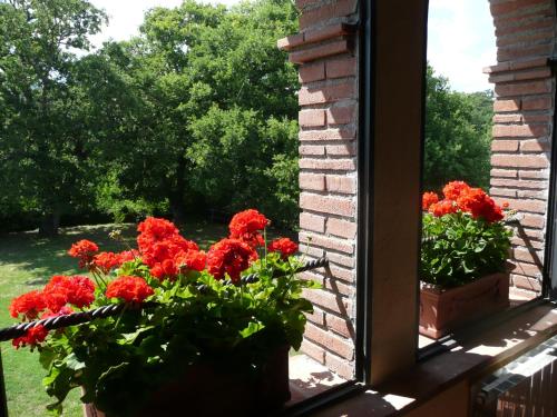 Apartment with Garden View