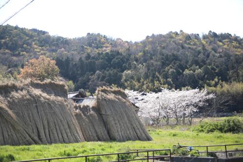 Stay Omihachiman Ekimae Inn