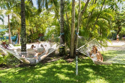 tuin, Summer House Backpackers Cairns in Cairns