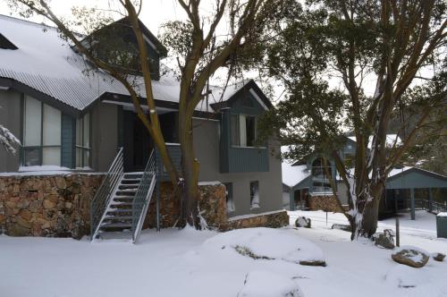 Wintergreen 10, Thredbo (foto 2)