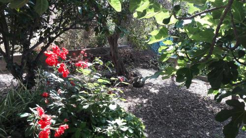  La casa ai piedi del Monte in Ales