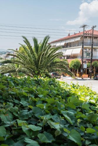 Hotel Alexandros - image 2