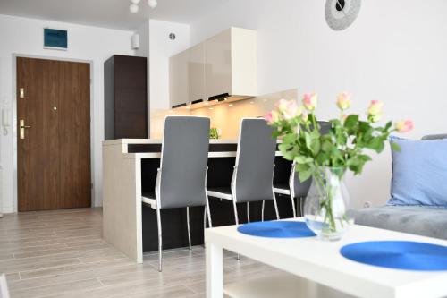 Apartament Błękitne Wybrzeże- z garażem - main image