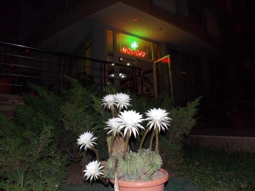 Hotel Holiday - image 2