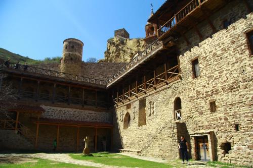 Home in Udabno in Udabno