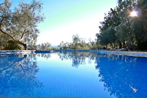 Casas Rurales Los Algarrobales - 수영장