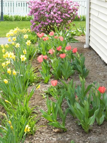 乔治湖传统汽车旅馆