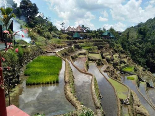 Bogah Homestay