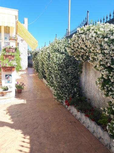 Bed and Breakfast Angolo Fiorito