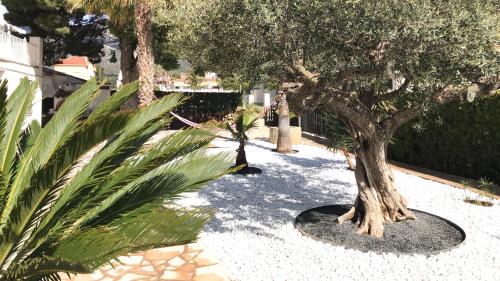 Apartamentos Playa D y G 4