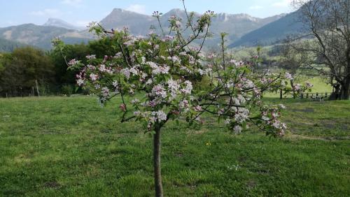 Casa Rural Urkulu Landetxea - image 13