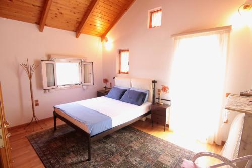 Villa Fotismata - Chalet in the heart of Kalavryta